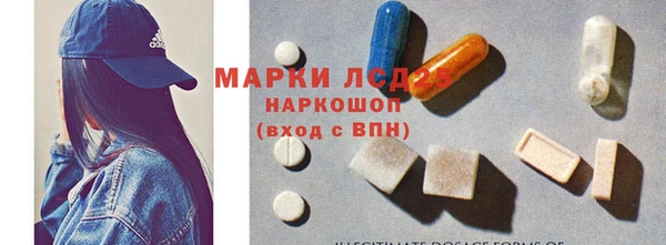 шишки Новодвинск