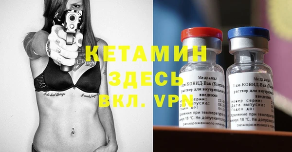 шишки Новодвинск