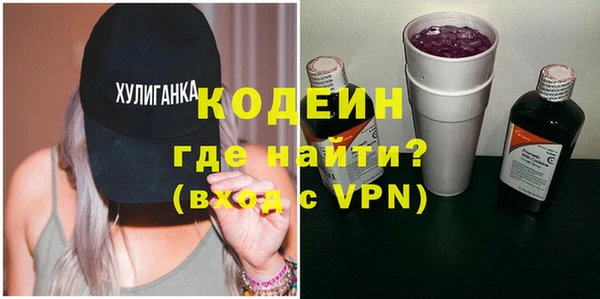 шишки Новодвинск