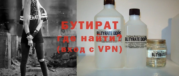 шишки Новодвинск
