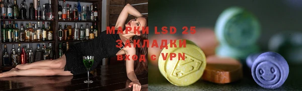 шишки Новодвинск
