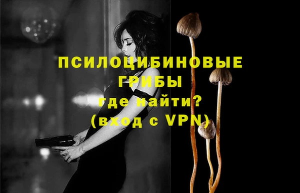 шишки Новодвинск