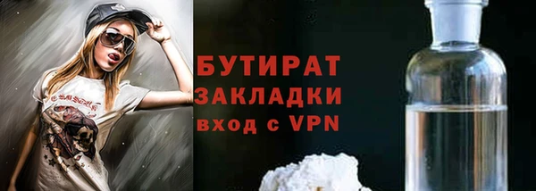 шишки Новодвинск