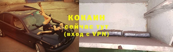 шишки Новодвинск