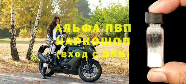 шишки Новодвинск