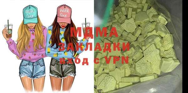 шишки Новодвинск
