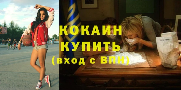 шишки Новодвинск