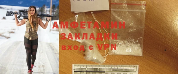шишки Новодвинск